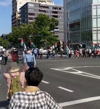 Japan’s Constitution Day: Rally held in Tokyo to honour peace, oppose war
