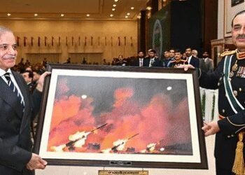 Netizens mock painting showing old Chinese war drill images used by Pakistan to celebrate its military operation