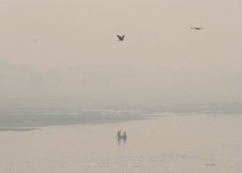 Delhi continues to choke on toxic air as AQI remains in ‘severe’ zone