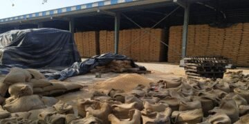 Irradiation to solve India’s food storage issues, Rs 1,000 crore support extended