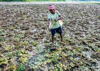 Socially backward people in Bengal have limited access to institutional loans: Bankers’ study