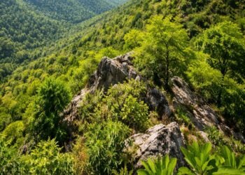 Explainer: No threat, no new definition given for Aravalli