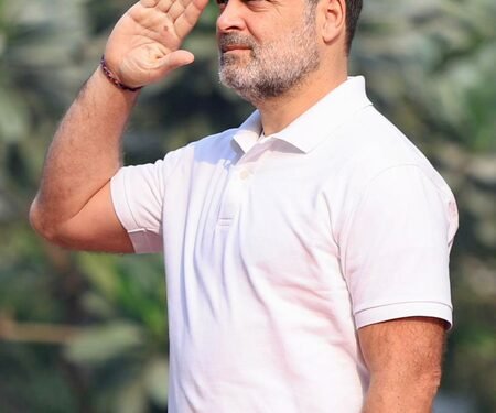 Protecting Constitution is protecting Indian Republic: Rahul Gandhi