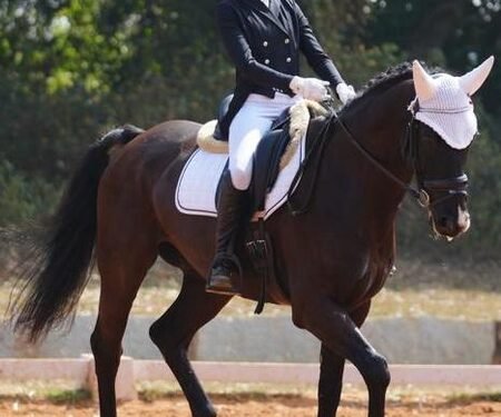 Stasya Pandya, Taarini Lodha deliver standout performances at Junior National Equestrian C’ship