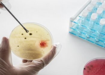 New indigenous antibody discovery platform to transform diagnostics in India