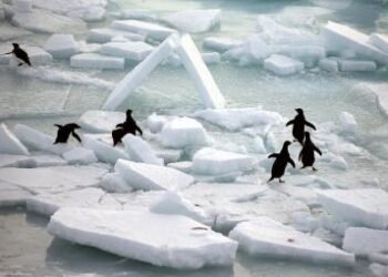 World’s oceans set new heat record in 2025: Study