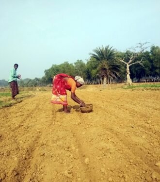 Centre moots strict law to protect farmers from fake seeds