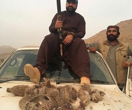 Baloch activist urges Norway not to host Pakistani leaders accused of human rights abuses