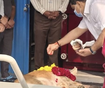 Gujarat’s first CNG-powered dog crematorium inaugurated in Ahmedabad
