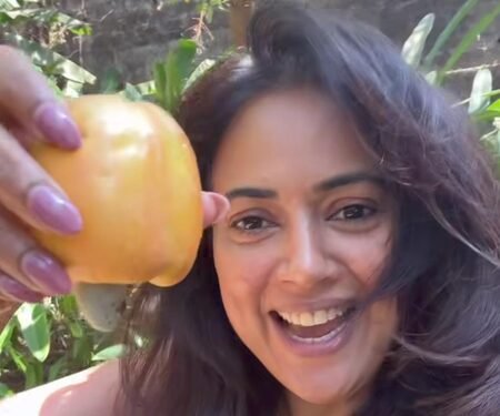 Sameera Reddy thrilled as Cashew season begins, shares glimpse from her own home garden