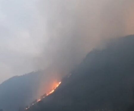 Army, IAF battle massive forest fires in Arunachal Pradesh, Nagaland