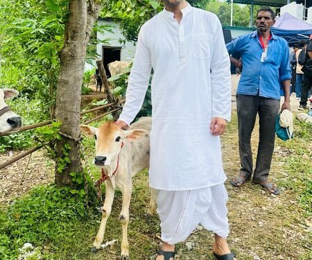 Sahil Anand asks ‘Why can’t cow also be our National Animal?’ after his ‘Godaan’ experience