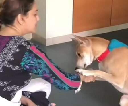Madhuri Dixit spends fun time with her fur babies, Dr Nene shares cute video