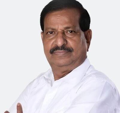 Maha govt to implement measures to resolve human-wildlife conflict