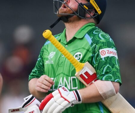 T20 WC: ‘Stirling’s injury doesn’t look ideal’, says Ireland coach Gary Wilson