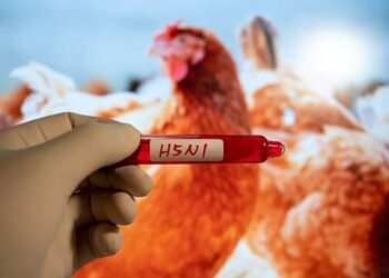Japan confirms new highly pathogenic bird flu outbreak in Hokkaido