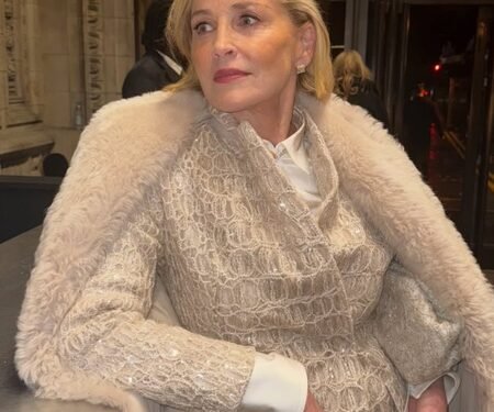 Sharon Stone celebrates 68th birthday with video featuring her 90s charm