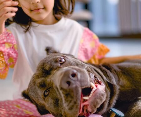 Salman Khan’s sister Arpita Khan shares a heartwarming pic of her little ‘beauty’ Ayat with her ‘beast’