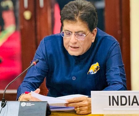 WTO must go for consensus-based decisions: Piyush Goyal