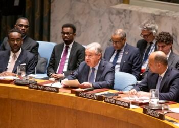 UN chief sets up task force on Hormuz humanitarian fallout