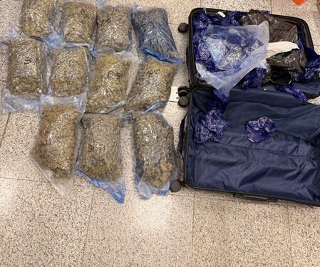 Hydroponic weeds worth Rs 8.9 crore seized at Hyderabad Airport