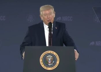 Trump attends top court hearing on citizenship​