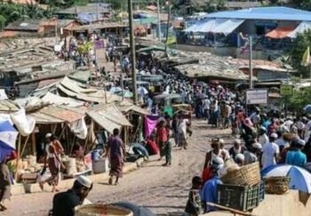 UN food aid cuts push Rohingya refugees in Bangladesh into deeper crisis: Report