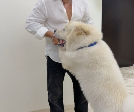 Salman Khan shares a glimpse of his midnight ‘sukh’