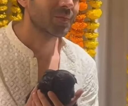 Kartik Aaryan, Shefali Shah & others shower love on their special buddies this National Pet Day