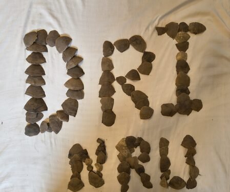 DRI’s Nagpur unit dismantles trafficking ring of over 16 kg of Pangolin scales in C’garh; three arrested