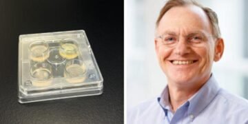 50 researchers reveal 5 steps to combat drug‑resistant fungi