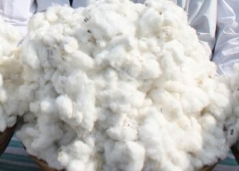 Centre exempts all customs duties on cotton import from June 1 till Oct 30