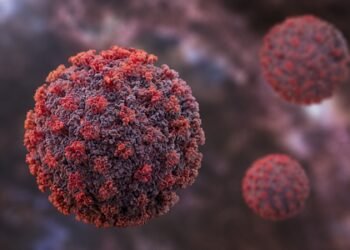 Hantavirus outbreak not another COVID pandemic, public health risk remains low: WHO
