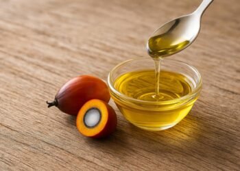 Palm oil shouldn’t be defamed without evidence: Experts