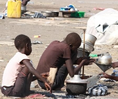 Nearly 19.5 million people in Sudan facing acute food insecurity: UN