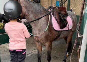 Priyanka Chopra drops a glimpse of daughter Malti making a new friend