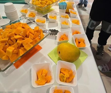 US: Anxious wait ends as Indian mangoes arrive in Seattle stores