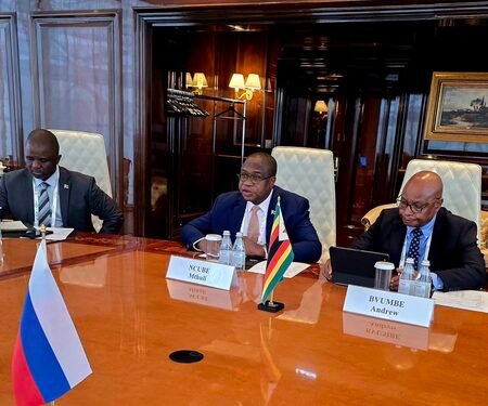 Zimbabwe begins formal talks to join BRICS New Development Bank
