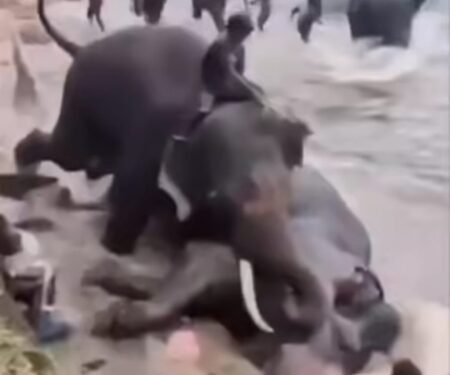 Tourist death case: K’taka govt announces compensation; minister calls for strict guidelines