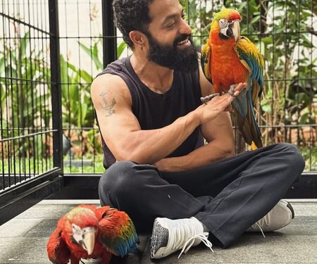 Jr NTR reflects his love for Japan as he introduces his new buddies Asahi & Yuuhi