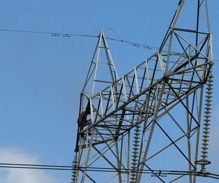 Heartbroken youth climbs high-tension electric pole after girlfriend refuses marriage in Bengaluru