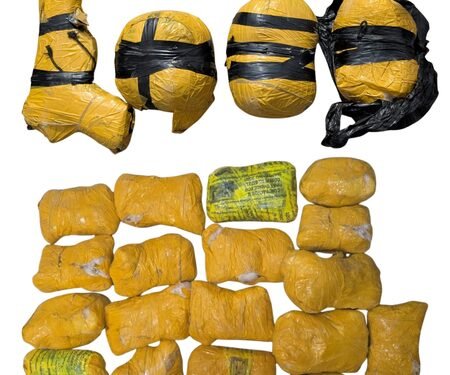Punjab Police bust international drug cartel, 10 kg ICE seized