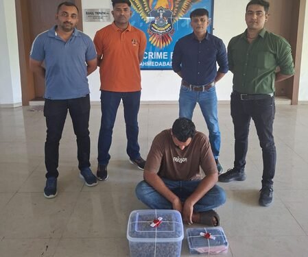 Gujarat: One held with hybrid ganja valued at Rs 69.12 lakh