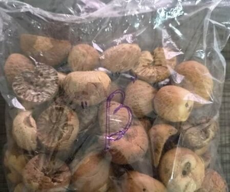 DRI seizes 60,000 kg smuggled foreign origin areca nuts in NE region, 5 held