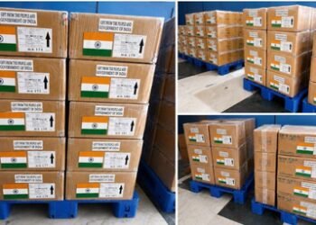 India sends medical supplies, protective kits to Africa amid Ebola outbreak