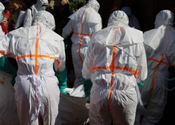 Nigeria identifies 21 regions with high, moderate risk for Ebola importation