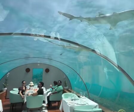 Soha Ali Khan enjoys thrilling underwater lunch with Kunal Kemmu & little Inaaya