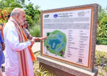 Bengal govt handed 600 hectares to BSF within 7 days for border fencing: HM Shah