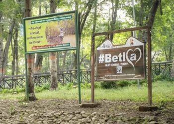 NGT issues notice over construction in Palamu Tiger Reserve, Netarhat eco-sensitive zone