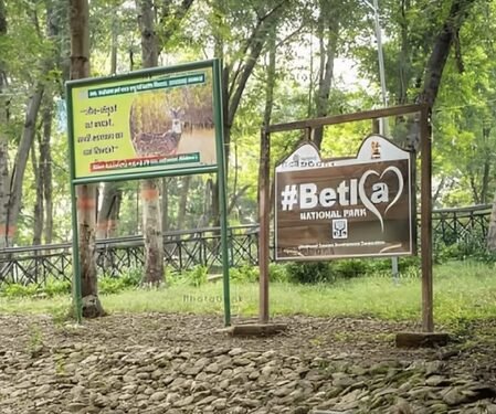 NGT issues notice over construction in Palamu Tiger Reserve, Netarhat eco-sensitive zone
